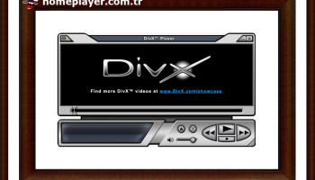 lesbian foot worship