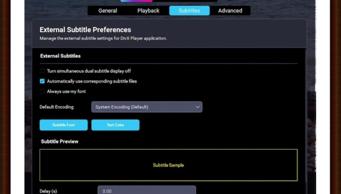 download video from any website