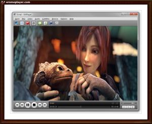 extreme anal dildo porn