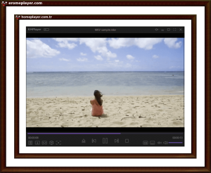 porn japan uncensored